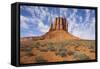 Monument Valley-Gary-Framed Stretched Canvas