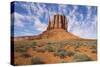 Monument Valley-Gary-Stretched Canvas