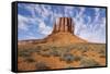 Monument Valley-Gary-Framed Stretched Canvas