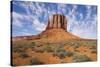 Monument Valley-Gary-Stretched Canvas