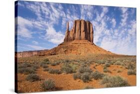 Monument Valley-Gary-Stretched Canvas