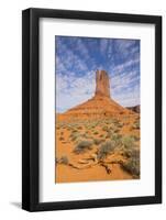 Monument Valley-Gary-Framed Photographic Print