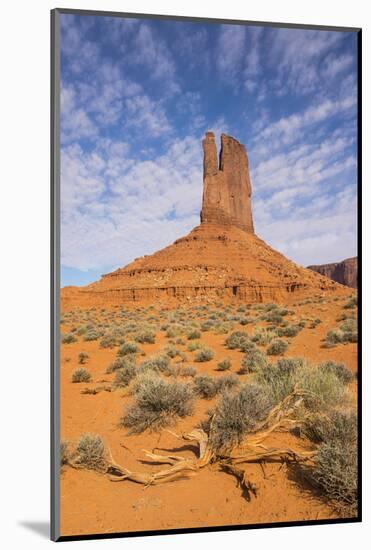 Monument Valley-Gary-Mounted Photographic Print