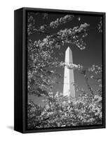 Monument with Cherry Blossom in Foreground, Washington DC, USA-Scott T. Smith-Framed Stretched Canvas