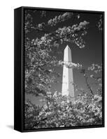 Monument with Cherry Blossom in Foreground, Washington DC, USA-Scott T. Smith-Framed Stretched Canvas