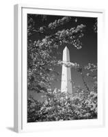 Monument with Cherry Blossom in Foreground, Washington DC, USA-Scott T. Smith-Framed Premium Photographic Print