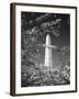 Monument with Cherry Blossom in Foreground, Washington DC, USA-Scott T. Smith-Framed Premium Photographic Print