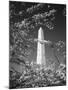 Monument with Cherry Blossom in Foreground, Washington DC, USA-Scott T. Smith-Mounted Premium Photographic Print