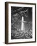 Monument with Cherry Blossom in Foreground, Washington DC, USA-Scott T. Smith-Framed Photographic Print