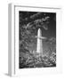 Monument with Cherry Blossom in Foreground, Washington DC, USA-Scott T. Smith-Framed Photographic Print