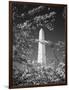 Monument with Cherry Blossom in Foreground, Washington DC, USA-Scott T. Smith-Framed Photographic Print