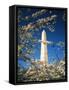 Monument with Cherry Blossom in Foreground, Washington DC, USA-Scott T. Smith-Framed Stretched Canvas