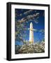 Monument with Cherry Blossom in Foreground, Washington DC, USA-Scott T. Smith-Framed Photographic Print