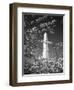 Monument with Cherry Blossom in Foreground, Washington DC, USA-Scott T. Smith-Framed Photographic Print