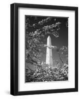 Monument with Cherry Blossom in Foreground, Washington DC, USA-Scott T. Smith-Framed Photographic Print