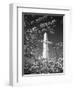 Monument with Cherry Blossom in Foreground, Washington DC, USA-Scott T. Smith-Framed Photographic Print