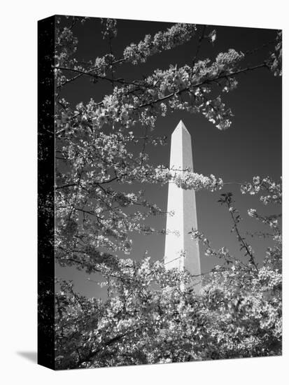 Monument with Cherry Blossom in Foreground, Washington DC, USA-Scott T. Smith-Stretched Canvas