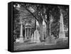 Monuments and Trees in Greenwood Cemetery-Alfred Eisenstaedt-Framed Stretched Canvas