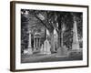 Monuments and Trees in Greenwood Cemetery-Alfred Eisenstaedt-Framed Photographic Print