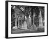 Monuments and Trees in Greenwood Cemetery-Alfred Eisenstaedt-Framed Photographic Print