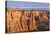 Monuments at Sunrise, Colorado National Monument, Fruita, Colorado, USA-Chuck Haney-Stretched Canvas