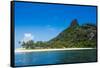 Monuriki (Cast Away Island), Mamanuca Islands, Fiji, South Pacific-Michael Runkel-Framed Stretched Canvas