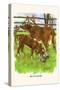 Moo Cow and Calf-Bird & Haumann-Stretched Canvas