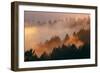 Mood and Fog Mount Tamalpais, Marin County, San Francisco-Vincent James-Framed Photographic Print