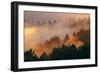 Mood and Fog Mount Tamalpais, Marin County, San Francisco-Vincent James-Framed Photographic Print