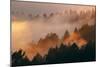 Mood and Fog Mount Tamalpais, Marin County, San Francisco-Vincent James-Mounted Photographic Print