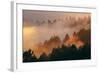 Mood and Fog Mount Tamalpais, Marin County, San Francisco-Vincent James-Framed Photographic Print