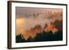 Mood and Fog Mount Tamalpais, Marin County, San Francisco-Vincent James-Framed Photographic Print