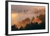 Mood and Fog Mount Tamalpais, Marin County, San Francisco-Vincent James-Framed Photographic Print