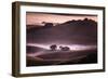 Mood and Mist and Morning Light, Petaluma Sonoma California-Vincent James-Framed Photographic Print