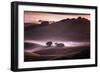 Mood and Mist and Morning Light, Petaluma Sonoma California-Vincent James-Framed Photographic Print