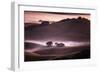 Mood and Mist and Morning Light, Petaluma Sonoma California-Vincent James-Framed Photographic Print