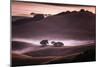 Mood and Mist and Morning Light, Petaluma Sonoma California-Vincent James-Mounted Photographic Print