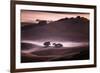 Mood and Mist and Morning Light, Petaluma Sonoma California-Vincent James-Framed Photographic Print