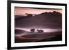 Mood and Mist and Morning Light, Petaluma Sonoma California-Vincent James-Framed Photographic Print