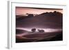 Mood and Mist and Morning Light, Petaluma Sonoma California-Vincent James-Framed Photographic Print