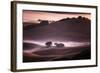 Mood and Mist and Morning Light, Petaluma Sonoma California-Vincent James-Framed Photographic Print