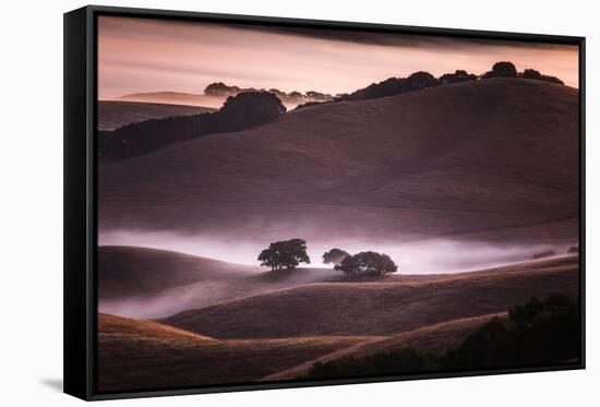 Mood and Mist and Morning Light, Petaluma Sonoma California-Vincent James-Framed Stretched Canvas