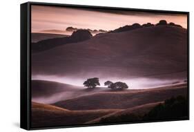 Mood and Mist and Morning Light, Petaluma Sonoma California-Vincent James-Framed Stretched Canvas