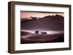 Mood and Mist and Morning Light, Petaluma Sonoma California-Vincent James-Framed Photographic Print