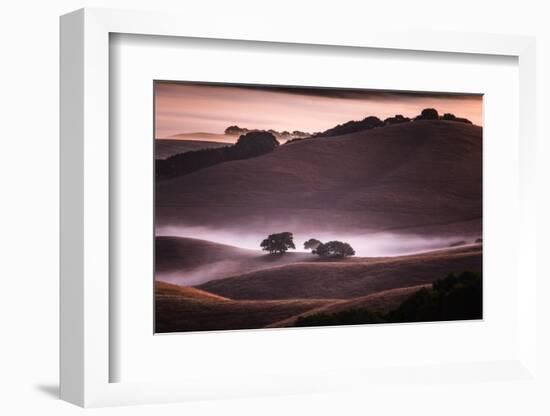 Mood and Mist and Morning Light, Petaluma Sonoma California-Vincent James-Framed Photographic Print