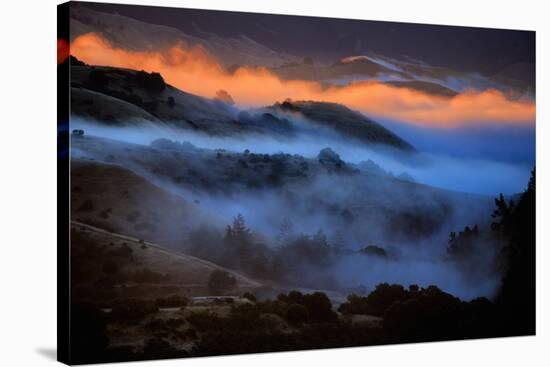 Mood Fog and Light Oakland Hills, San Francisco Bay Area-Vincent James-Stretched Canvas