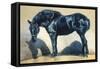 Mood Indigo I-Julie Chapman-Framed Stretched Canvas