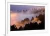 Mood, Light and Fog Mount Tamalpais, Marin County, San Francisco-Vincent James-Framed Photographic Print