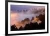 Mood, Light and Fog Mount Tamalpais, Marin County, San Francisco-Vincent James-Framed Photographic Print