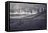 Moody Bison Landscape, Yellowstone-Vincent James-Framed Stretched Canvas